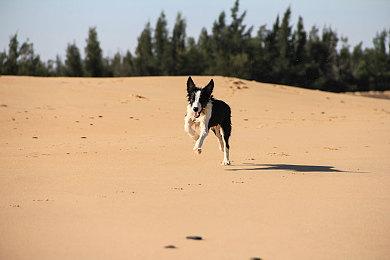 《孤岛危机》为何需要高配置硬件 Crytek：确保游戏不过时